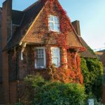 Sash window restoration Northumberland